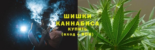 ПСИЛОЦИБИНОВЫЕ ГРИБЫ Заводоуковск