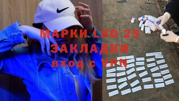 ПСИЛОЦИБИНОВЫЕ ГРИБЫ Заводоуковск