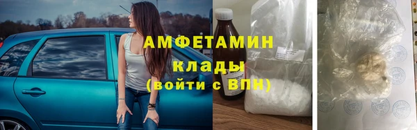 ПСИЛОЦИБИНОВЫЕ ГРИБЫ Заводоуковск