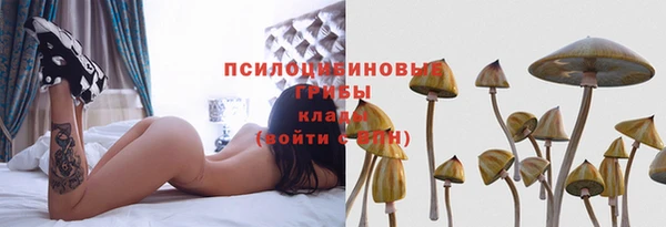 крисы Каменногорск