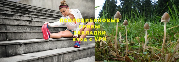 спайс Заволжье