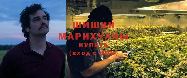 ПСИЛОЦИБИНОВЫЕ ГРИБЫ Заводоуковск