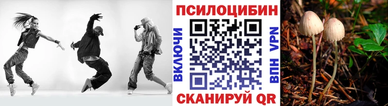 Галлюциногенные грибы ЛСД  Купить где  Мезень 